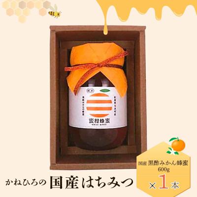 ふるさと納税 太良町 かねひろの国産はちみつ(黒酢みかん蜜)600g【O36】
