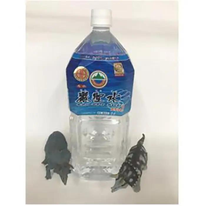 ＜毎月定期便＞ミネラルウォーター巌聖水6500(がんせいすい6500) 2L×6本入り全3回 ミネラルウォーター