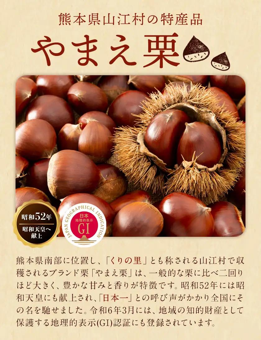 やまえ 栗きんとん 5本 やまえ堂 栗 和菓子