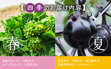 【6回定期便】旬の京野菜セット 野菜