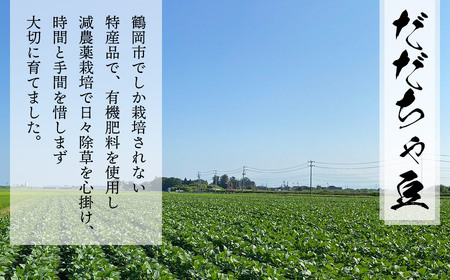 【令和6年産先行予約】山形県鶴岡市産 だだちゃ豆2kg＋訳ありだだちゃ豆500g　株式会社アグリシア