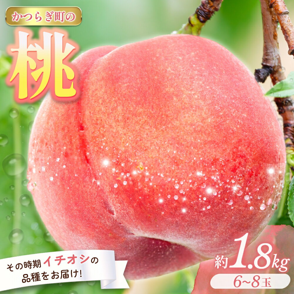 【ふるさと納税】＜甘い香りと果汁が自慢＞桃 6～8玉【2025年7月上旬～8月上旬頃順次発送】 | もも 桃 モモ 白鳳 甘い ジューシー ふるさと納税 和歌山 先行予約 果物 品種 送料無料 産地直送 絶品 濃厚 特産品 名産品