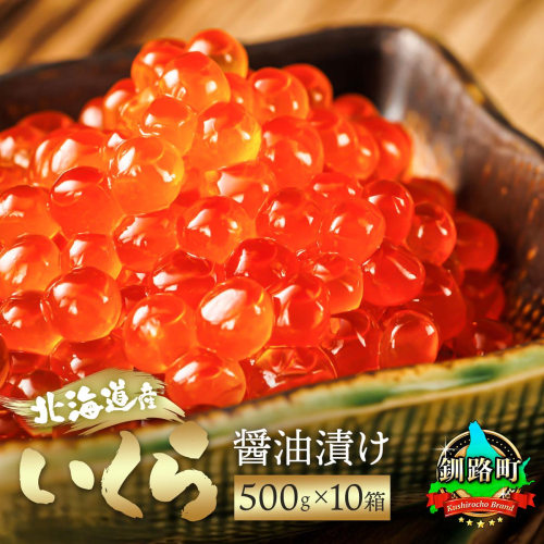 いくら醤油漬け 500g ×10箱  ｜北海道産 国産 いくら いくら醤油漬 イクラ 天然 鮭 サーモン 鮭卵 鮭いくら 小分け サイズ お手軽 簡単 冷凍 高級 絶品 釧之助本店 配送時期が選べる 配送 指定 配送日 選べる スピード発送 北海道 釧路町 釧路超 特産品