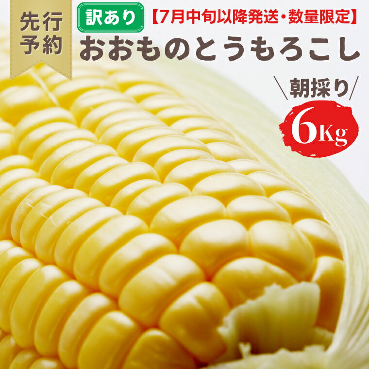 【ふるさと納税】【 先行予約 2026年7月中旬以降発送】【 訳あり 】【 令和8年産 】 八千代町産 農家直送 朝採り とうもろこし おおもの 6kg トウモロコシ スイートコーン 産地直送 規格外 不揃い 傷