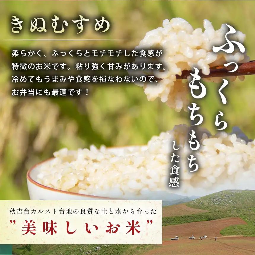 令和8年度産 きぬむすめ 玄米 10kg 村上農園 先行予約 ＜ 2026年10月中旬より11月末まで順次発送 ＞