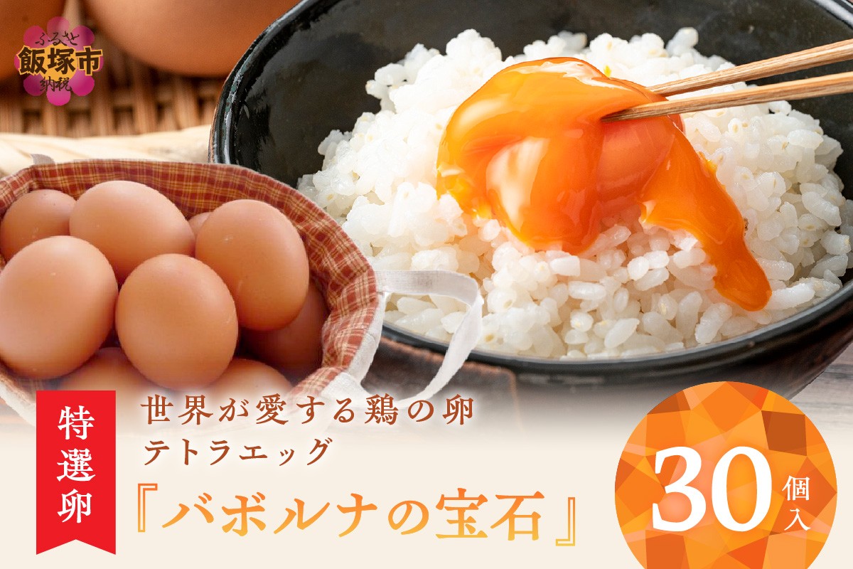 
テトラエッグ特選卵『バボルナの宝石』30個入【A-807】
