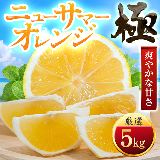 【太陽をたっぷり浴びた】ニューサマーオレンジ【極】5kg【E49-58】【1509761】 YWTZ050