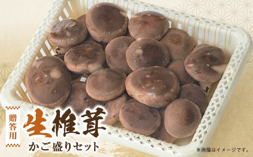
贈答品用椎茸かご盛りセット【1201244】
