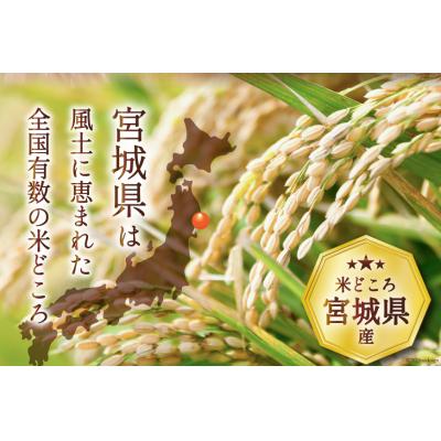 ふるさと納税 気仙沼市 米 宮城県産 だて正夢 10kg (5kg×2袋) 気仙沼米穀商業協同組合 20565610 ◎ |  | 02