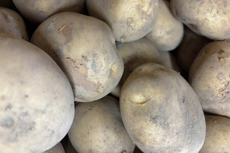 自然栽培じゃがいも2.5㎏｜芋