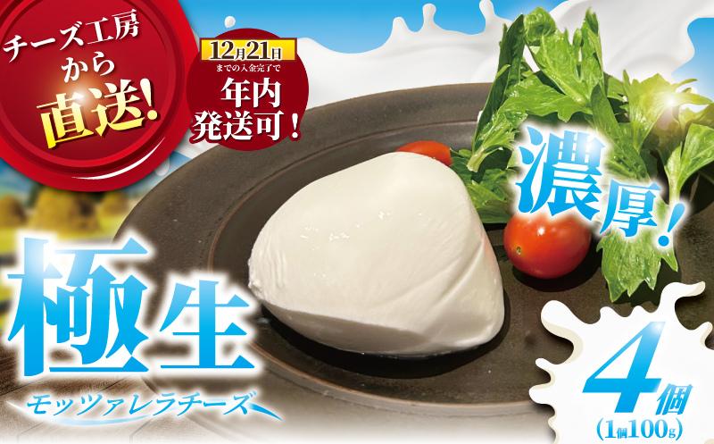 
            チーズ モッツァレラ チーズ ちーず cheese 4個 極生 モッツァレラチーズ  ナチュラルチーズ フレッシュチーズ ミルク 新鮮 出来立て 直送 ビール おつまみ おやつ 人気 ギフト お取り寄せ 10000円 贈り物 贈答 Aprotodo’S株式会社 RRAAP BREWERY 神奈川 湘南 藤沢
          