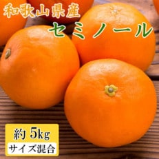 【先行受付】和歌山県産セミノールオレンジ約5kg(サイズ混合　秀品) (日高町)