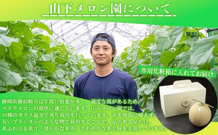 静岡温室メロン  M玉約1.4kg×2玉　最高級のマスクメロン　山下メロン園 高級果実店に仕入るほどの自信のあるメロン  ギフト  メロン めろん 箱詰め フルーツ 果物  産地直送 甘いメロン 糖度
