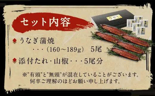 九州産 うなぎ 蒲焼 上 5尾 (1尾あたり160～189g)【2026年8月発送】