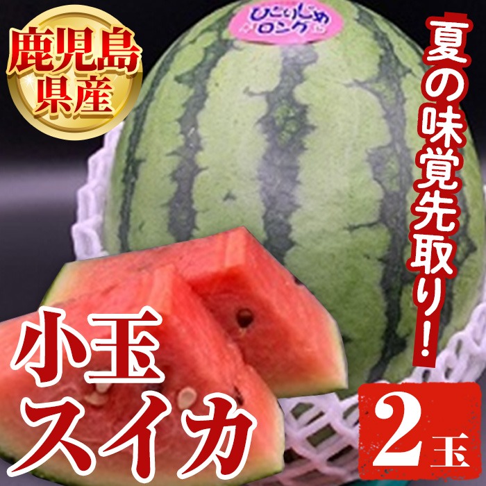 ＜先行予約受付中！2025年5月下旬以降発送予定＞鹿児島県産 小玉スイカ(2玉) 国産 果物 スイカ すいか 西瓜 フルーツ スイーツ スムージー ジュース 期間限定【松永青果】a-12-284-z