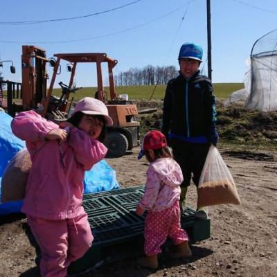 ふるさと納税 鷹栖町 令和7年産 ゆめぴりか【精白米】8kg(2kg×4) (真空パック) |  | 02