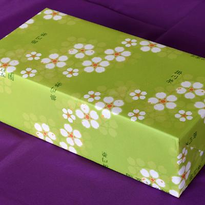 ふるさと納税 掛川市 手摘み 深蒸し掛川茶 天心 100g×3缶セット 箱入包装 |  | 03