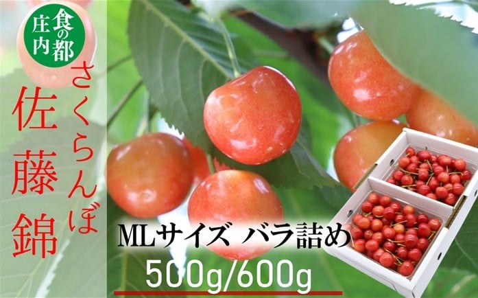 
                  ★先行予約★【令和8年産】食の都庄内　庄内産さくらんぼ「佐藤錦」MLサイズ バラ詰め　※選べる容量【500g/600g】　※令和8年6月中旬～下旬頃発送予定
                