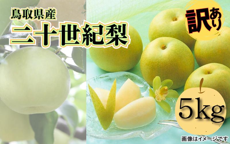 
            【先行予約】（訳あり）中野農園 梨 ”二十世紀梨” 5kg箱｜鳥取 岩美 梨 なし ナシ【41027】
          