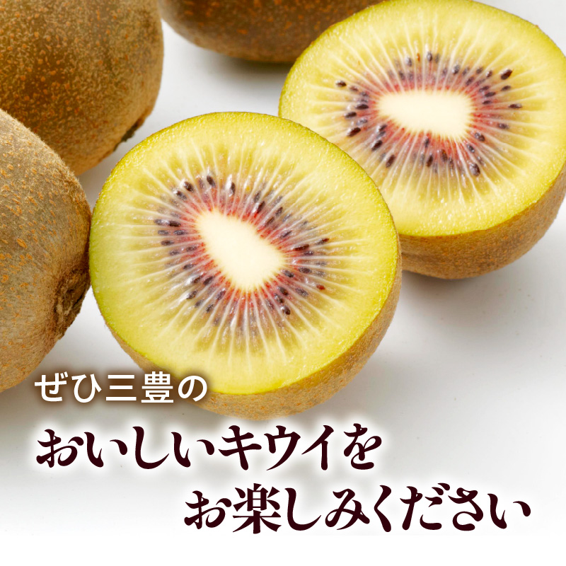 M02-0152_【さぬき讃フルーツ】さぬきエンジェルスイートキウイ 約1kg化粧箱入り