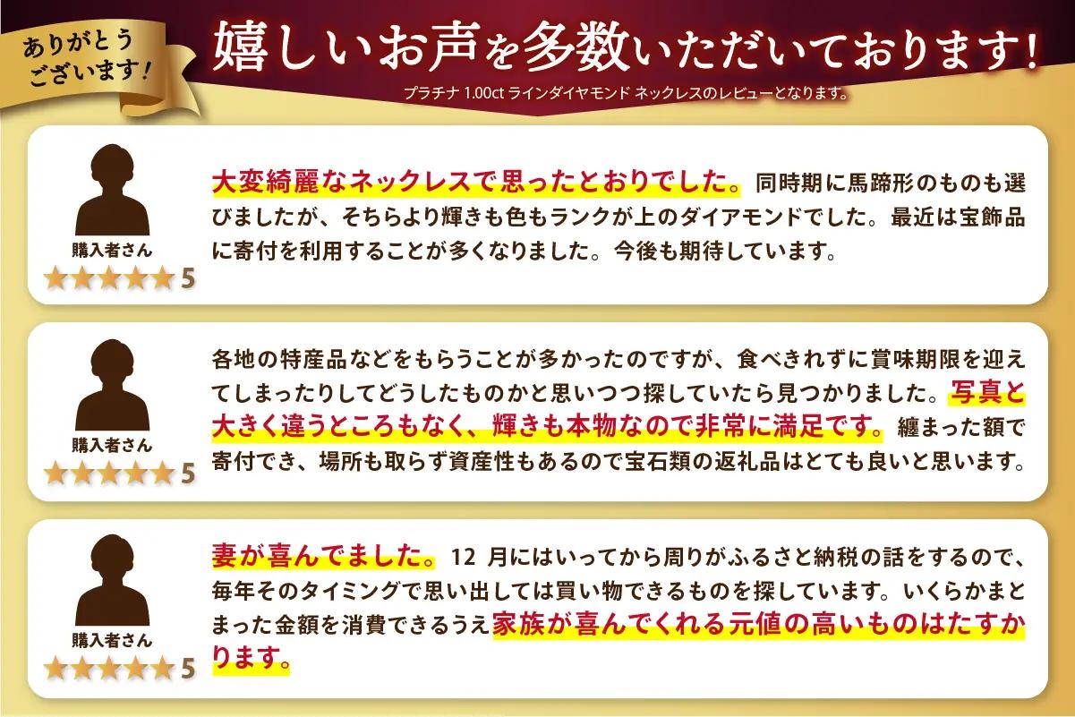 【即納】プラチナ 1.00ct ラインダイヤモンド ネックレス 324576