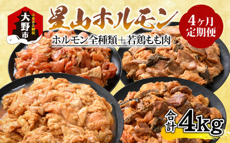 【4ヶ月定期便】【全国ホルモン大会初代優勝】星山ホルモン全種類＋若鶏もも肉4ヶ月定期便セット【行列のできるお店】