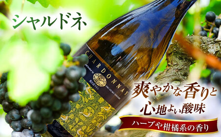 【家庭用】飲み比べセット カベルネロゼ×シャルドネ 750ml×各1本 計2本 ワイン お酒 ぶどう 島根県雲南市/有限会社奥出雲葡萄園[AICS087]