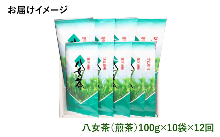 【全12回定期便】八女茶10袋（1kg）セット＜お茶の星陽園 ＞那珂川市 [GAD010]