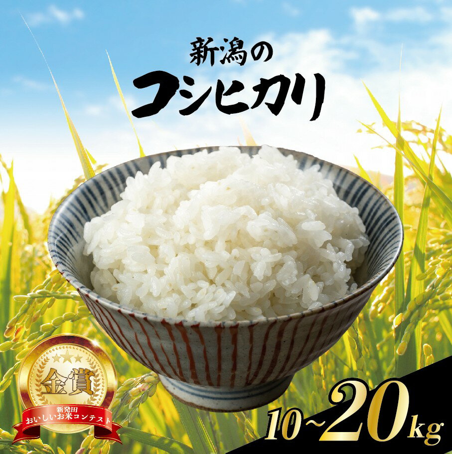 【ふるさと納税】 コシヒカリ 10kg 20kg 先行予約 令和7年産 こしひかり 選べる配送月 精米 白米 ご飯 おにぎり 弁当 新潟県産 新発田産 新潟 米 お米 こめ 受賞 越後新鮮組 新潟県 米 新潟県 新発田市 shinsengumi001 shinsengumi002 shinsengumi003