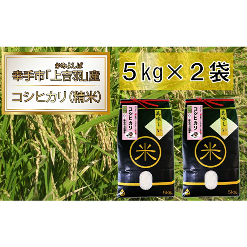 【ふるさと納税】【令和7年産米】ハッピー(幸手市)でラッキー(上吉羽)なお米 コシヒカリ精米10kg - 白米 こしひかり 減農薬 ごはん おすすめ 送料無料 埼玉県 幸手市
