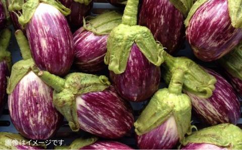 【全12回定期便】【福岡県糸島産】朝採れ 温野菜 サラダセット （電子レンジでチンするだけ！）_オーガニックナガミツファーム [AGE021]