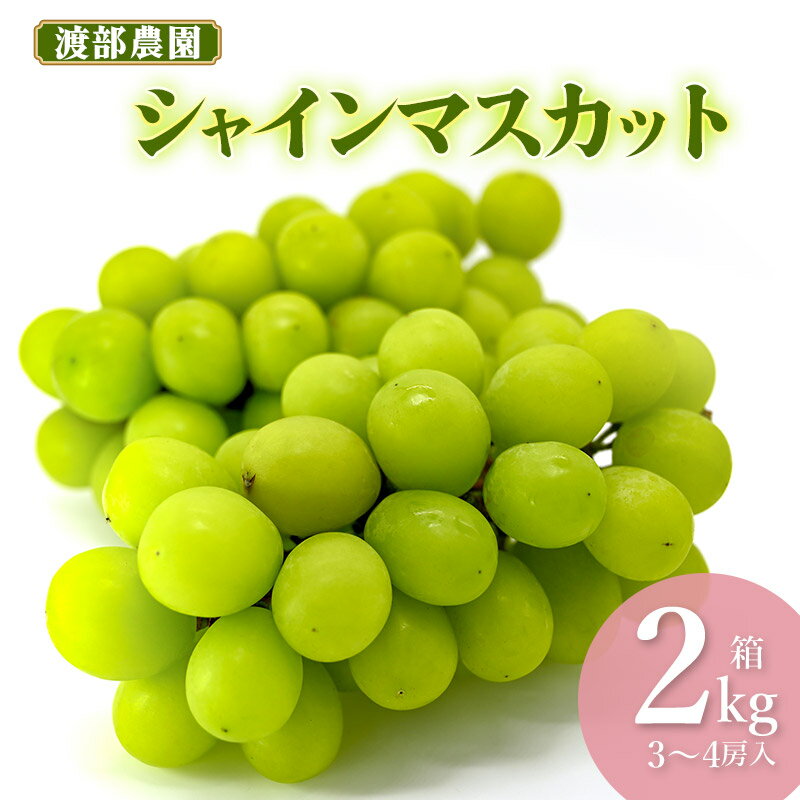 【ふるさと納税】【令和7年産先行予約】 シャインマスカット 約2kg(3〜4房)　白品種ぶどう