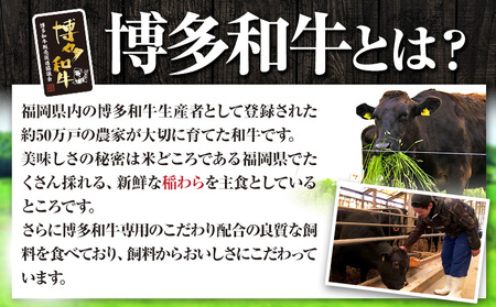 博多和牛 ヒレシャトーブリアンステーキ 200g 久田精肉店株式会社《30日以内に出荷予定(土日祝除く)》小竹町 博多和牛 牛肉 赤身 A5等級 厳選 シャトーブリアン ステーキ 国産 送料無料