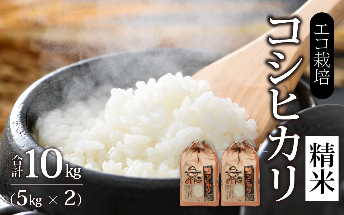 
            【先行予約】【令和7年産 新米】エコ栽培コシヒカリ 白米10kg（5kg×2） ／ 鮮度抜群 福井県産 こしひかり ご飯 新鮮 白米 ※2025年10月上旬より準備出来次第発送
          