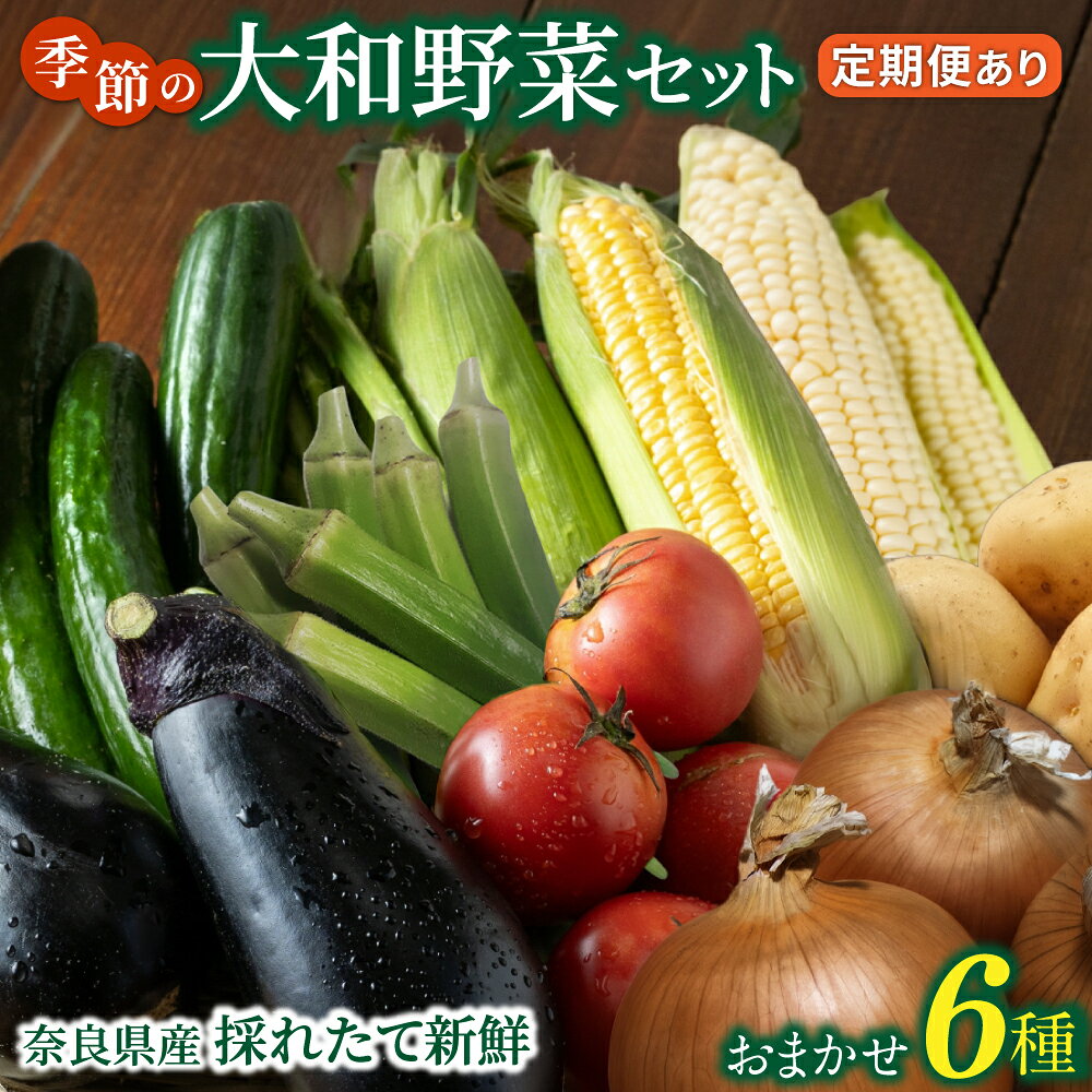 【ふるさと納税】奈良県産 季節の大和野菜 おまかせ6種セット 定期便3カ月 6ヵ月 12ヵ月 ／ スマイル葛城農業 奈良 葛城市 野菜野菜 産直 新鮮 旬 茹で スープ サラダ グリル 名産 健康 美容 栄養 ふるさと納税 人気 家族 ギフト 奈良県 葛城市