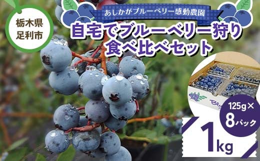 
            自宅でブルーベリー狩り 食べ比べセット 1kg F7Z-1348
          
