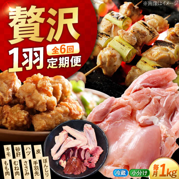 【ふるさと納税】【全6回定期便】うまさが違う！ せとうち育ちの江田島産地鶏 一黒シャモ一羽パック(合計約1kg) 鶏 人気 肉 グルメ 取り寄せ プレゼント 広島県産 江田島市/ポーク＆チキン江田島[XAH006] 鶏肉 精肉 とり肉 鳥 もも むね モモ ムネ 若鶏 地鶏 小分け パック