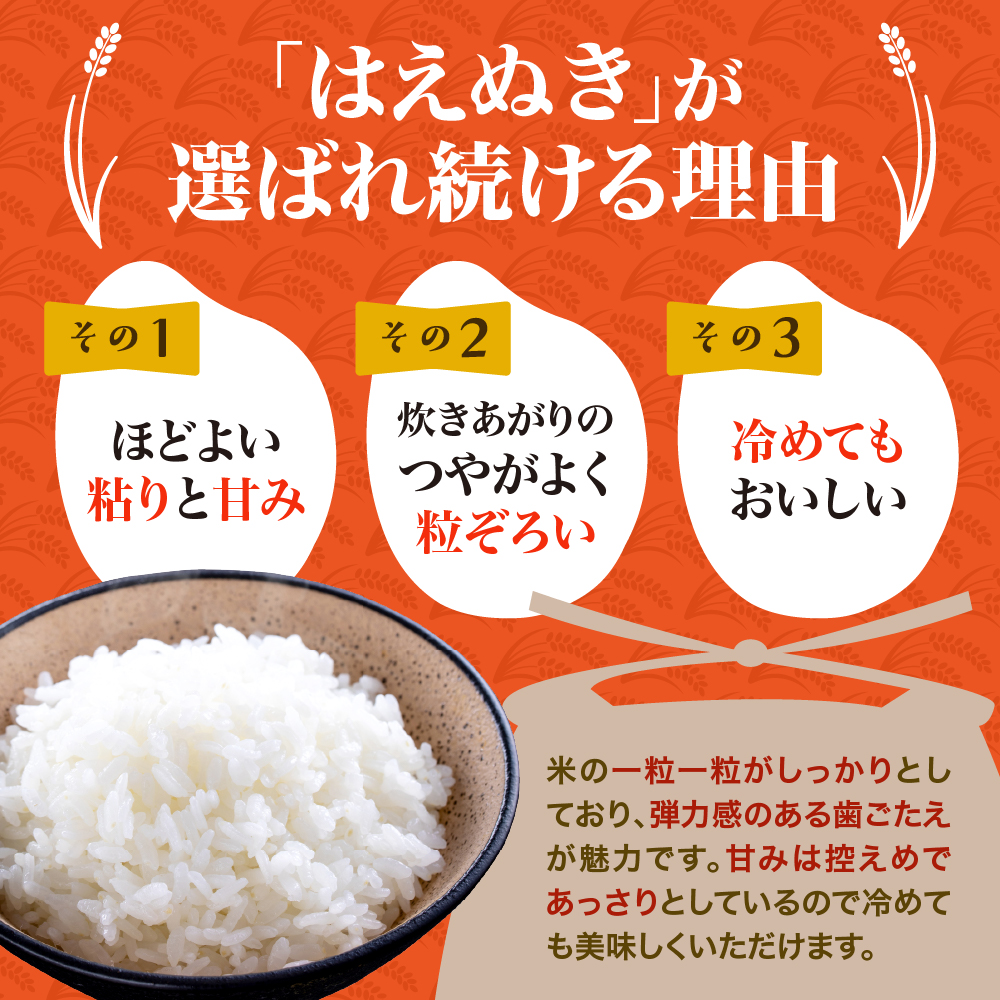 【令和8年産米】2027年5月下旬発送 はえぬき10kg 山形県産 【米COMEかほく協同組合】