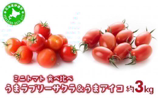 [5525-0367]【 2025年 発送 】先行予約 北海道 伊達 ミニトマト 2種 食べ比べ うま アイコ ラブリーサクラ 約3kg  ジューシー プチ トマト 甘い 濃厚 彩り 鮮やか 野菜 産地直送