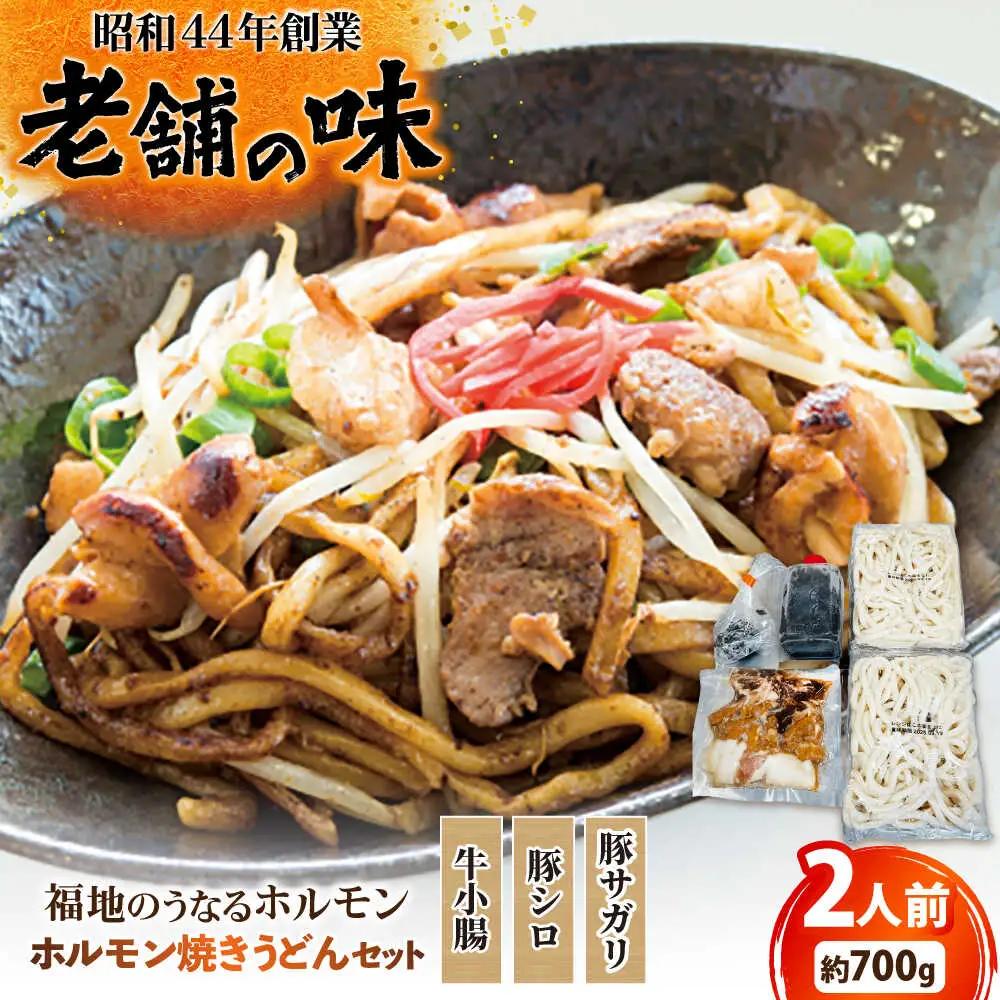 ホルモン焼きうどんセット 700g 日田市 ホルモン うどん [ARAY004]