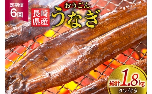 うなぎ 国産 蒲焼 長崎県産 おうごんうなぎ 約300g 2尾~3尾 6回 定期便 総計 約1.8kg [松永水産 長崎県 平戸市 hr42bgy400023] 鰻 うな重 うな丼 ひつまぶし 蒲焼き かばやき タレ付き 養殖 国内産 冷凍 unagi