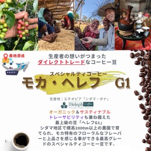 最高級スペシャルビーンズ 厳選3種《 焙煎豆 焙煎 コーヒー 珈琲 》【2402G11701】