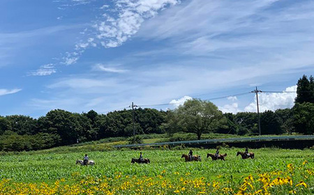 那須高原ホーストレッキング　Coffeeブレイク付プラン　ペア利用券【土日祝日GW限定】〔P-101〕｜チケット 利用券 ペア 体験 乗馬