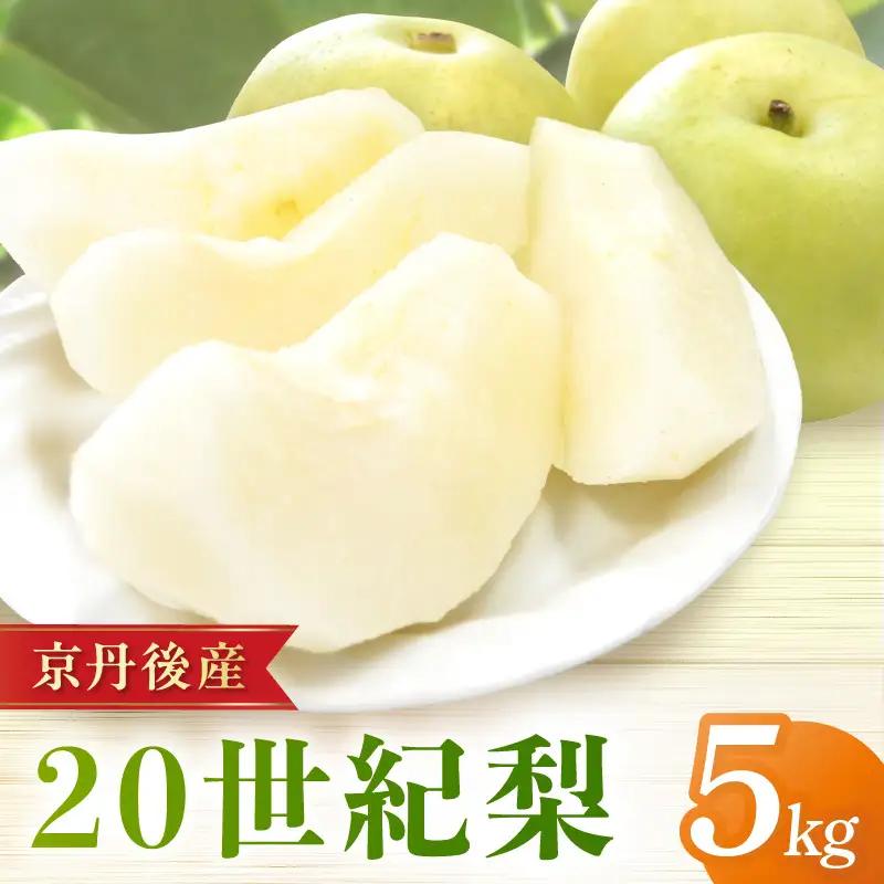 【先行予約／数量限定150】20世紀梨 5kg（2026年9月上旬～発送）