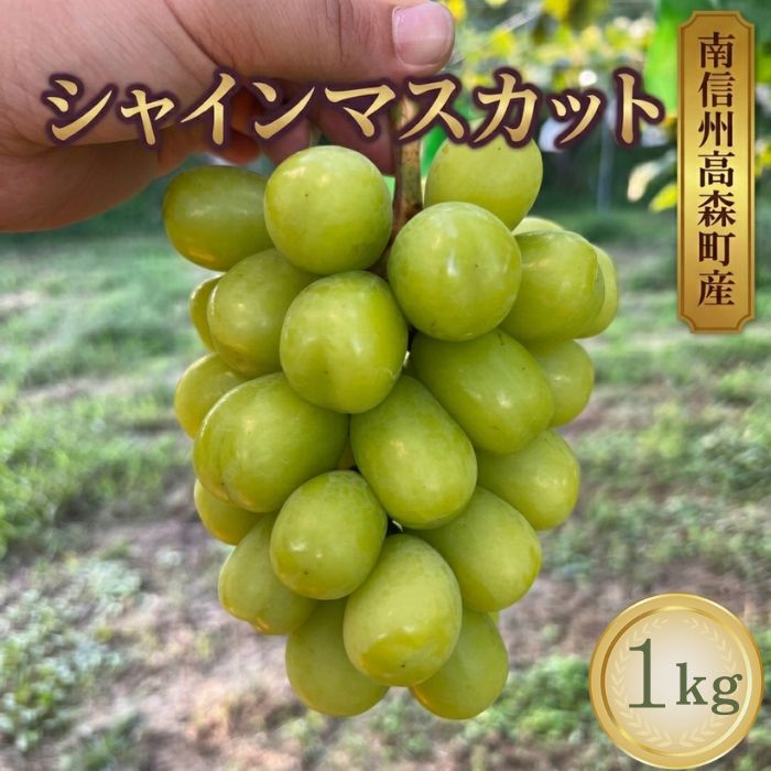 シャインマスカット 2房(1kg)