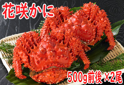 【北海道根室産】花咲かに500g前後×2尾 A-19010