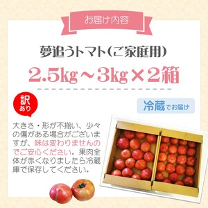 訳あり！ご家庭用に大活躍 夢追うトマト5kg～6kg【B0-244】