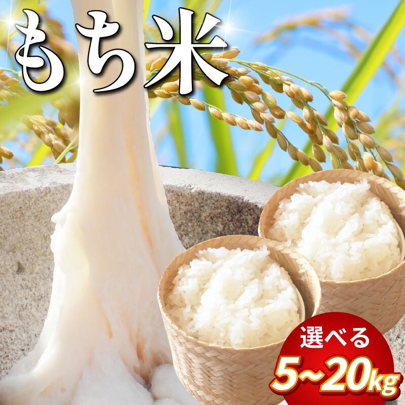 【ふるさと納税】 米 もち米 5kg 10kg 20kg 新米 令和7年産 餅 赤飯 おはぎ 5キロ 10キロ 20キロ お米5kg コメ 備蓄 備蓄米 保存 防災 災害 おこわ 雑煮 大福 あられ イベント 餅つき 先行予約 阿波市 徳島県