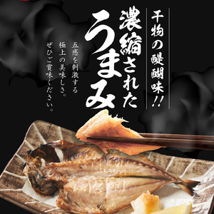【3回定期便】丸福水産・海鮮定期便 ／ 干物 フライ【Z068】