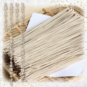 DX-23【茨城県共通返礼品／桜川市】《包装・のし無》【常陸秋そば】八割乾麺セット10パック入（20人分）